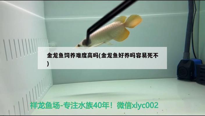 深圳鱼缸创艺水族满意（深圳鱼缸创艺水族满意店）