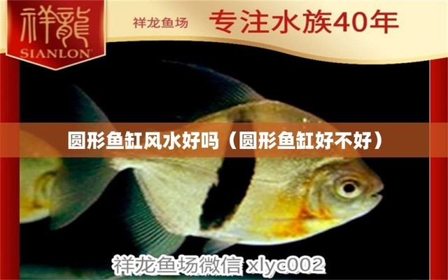 貴陽(yáng)二手魚缸回收市場(chǎng)地址及電話（貴陽(yáng)二手魚缸回收市場(chǎng)地址及電話號(hào)碼）