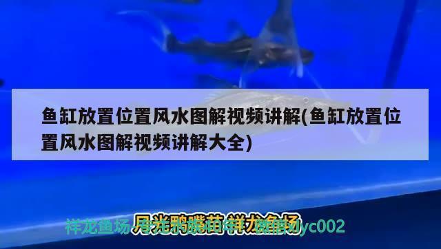 揚州魚缸過濾器維修點地址電話多少（揚州魚缸過濾器維修點地址電話多少號）