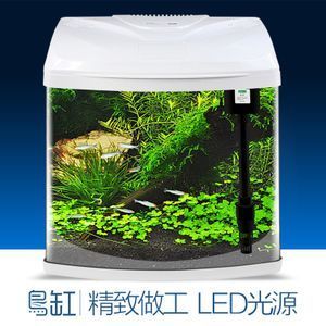 齊齊哈爾水族批發(fā)市場（齊齊哈爾水族批發(fā)市場在哪） 觀賞魚水族批發(fā)市場