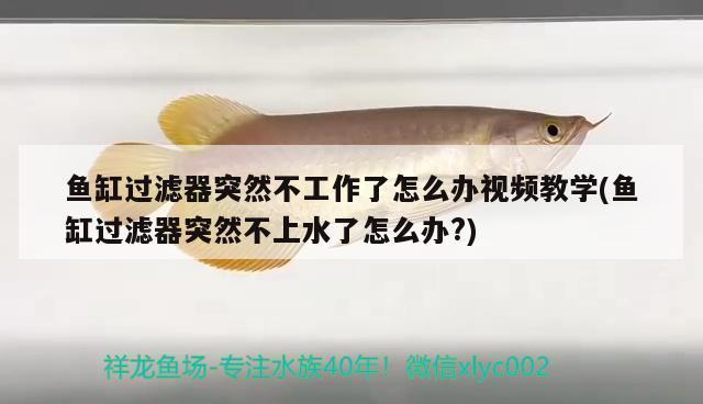 四毫米玻璃能做多大魚缸用（四毫米玻璃能做多大魚缸用呢）