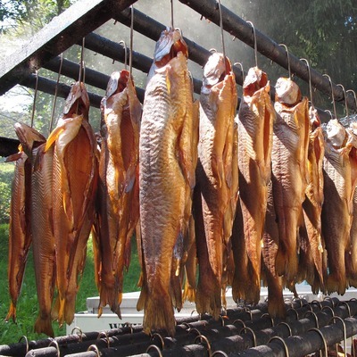 招財(cái)貓魚把龍魚吃了會(huì)怎么樣(招財(cái)貓魚把龍魚吃了會(huì)怎么樣圖片)