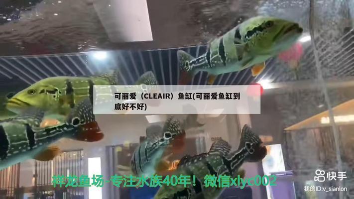 蘇州魚缸回收（蘇州魚缸回收電話） 祥龍水族醫(yī)院