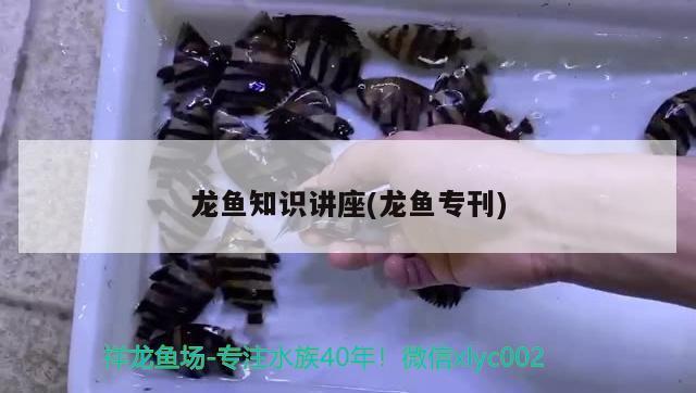 详细阅读:Discover the Exotic Beauty of <strong><mark>arowana</mark></strong> in Cheongju: A Complete Guide to Location, Distribution, Business Hours, and Products Discover the Exotic Beauty of <strong><mark>arowana</mark></strong> in Cheongju: A Complete Guide to Location, Distribution, Business Hours, and Products