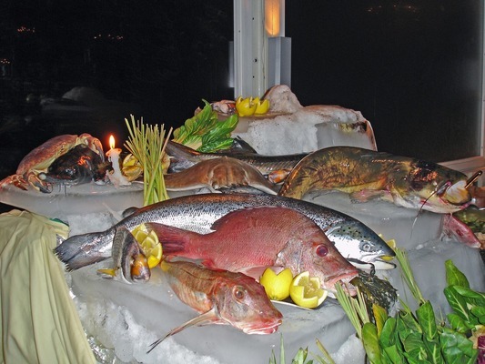 紅龍魚吃什么食物上色快一點呢（紅龍魚吃什么食物上色快一點呢視頻）