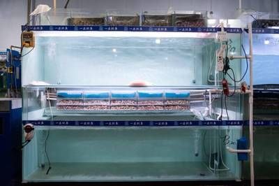 A Comprehensive Guide to Los Angeles <strong><mark>Aquatic</mark></strong> Shops: Locations, Business Hours, and Products