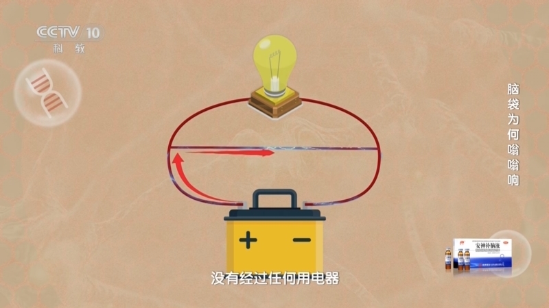 健康之路 《健康之路》 20240708 脑袋为何嗡嗡响