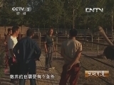 生财有道 《生财有道》 20131022 异国大鸟的财富