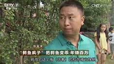 致富经 [致富经]“鳄鱼疯子”把鳄鱼变乖 年赚百万 20160822
