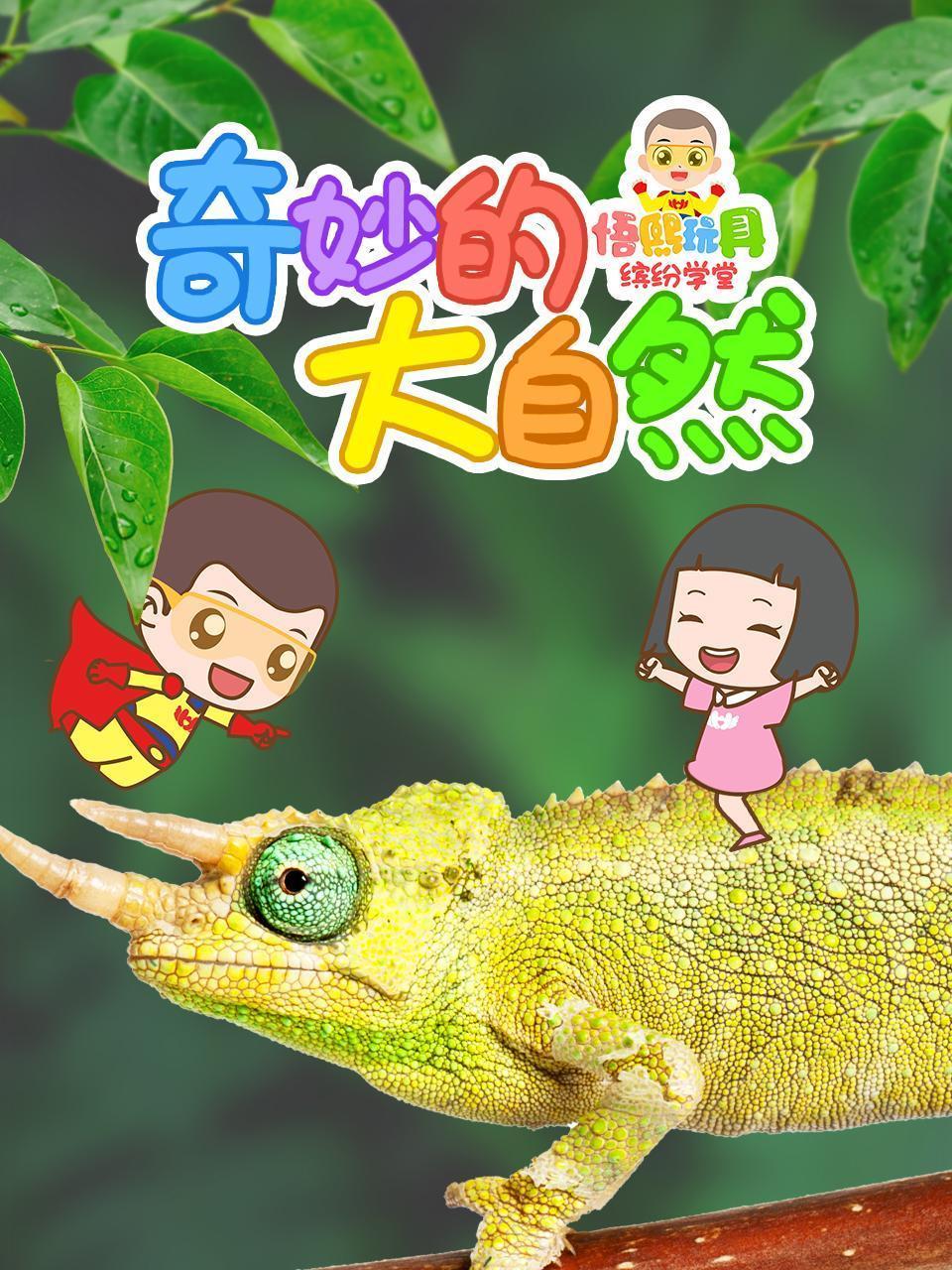 奇妙的大自然 悟熙玩具缤纷学堂