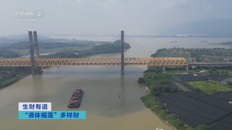 生财有道 《生财有道》 20241031 “液体榴莲”多样财