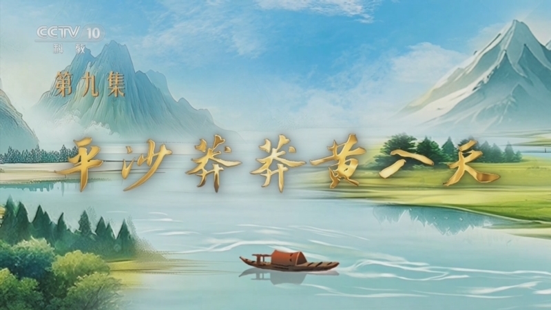 百家讲坛 《百家讲坛》 20250823 特别节目《我见青山》（9） 平沙莽莽黄入天
