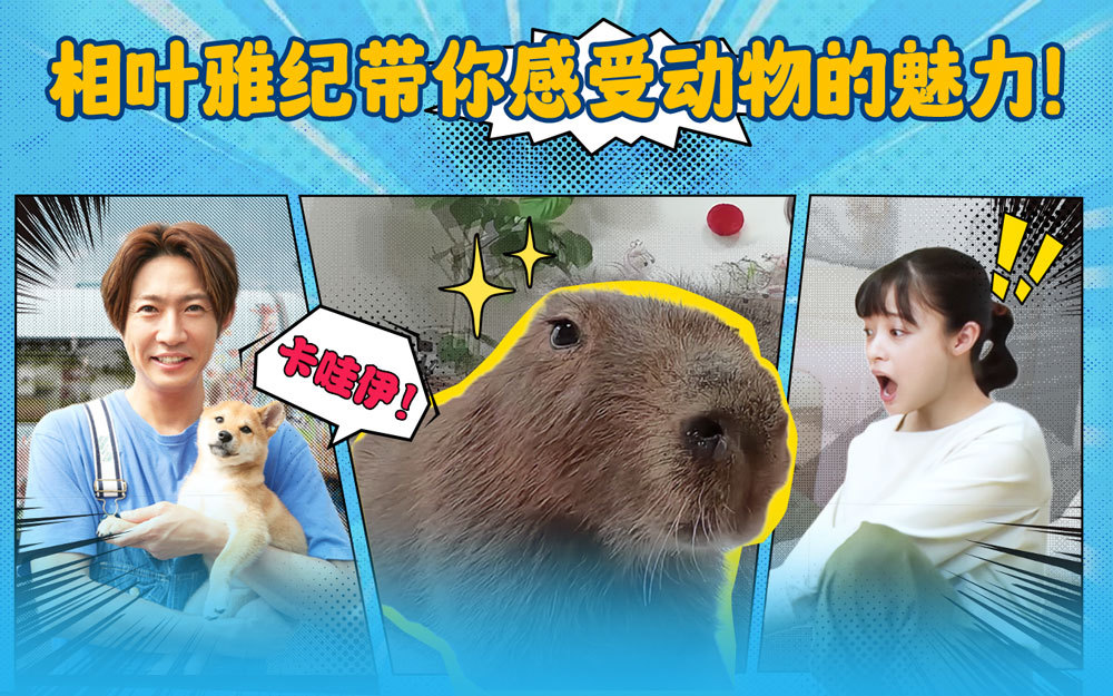 I Love 大家的动物园 相叶雅纪带你感受动物的魅力