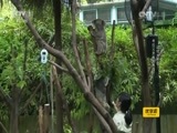 最野假期 第一季 《最野假期》 20150724