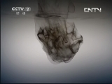 生财有道 《生财有道》 20130427 双黑鸭的“鸭司令”