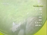 自然传奇 《自然传奇》 20171006 探秘自然·骁勇战将