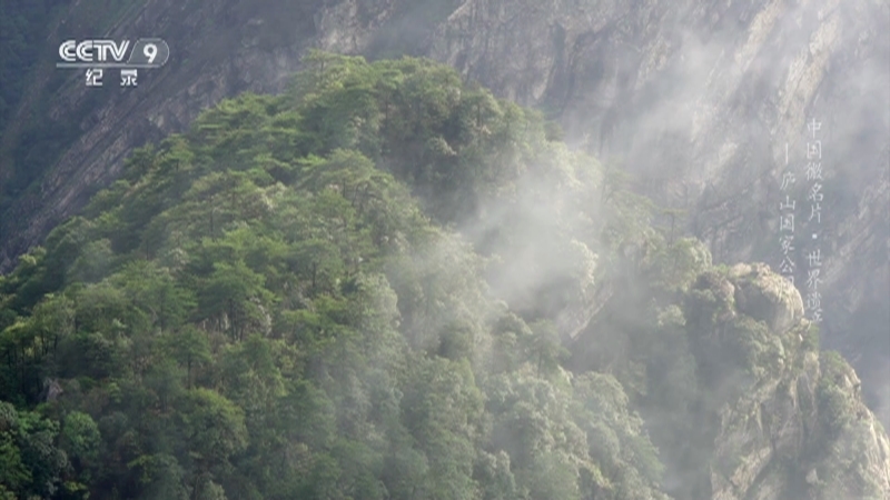 《中国微名片 世界遗产 第二季》 第19集 庐山国家公园