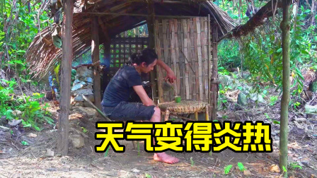 原始丛林人苏门答腊 第二季 独自在荒野生活，享受一杯山茶，感受万物生长的气息！