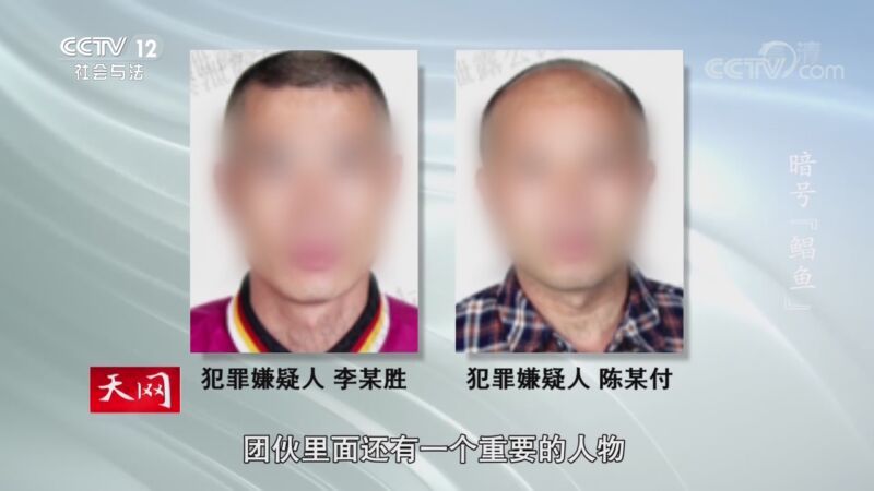 天网 《天网》 20201026 暗号“鲳鱼”