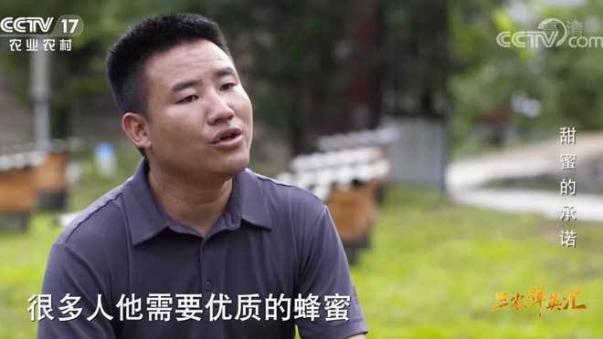 三农群英汇 《三农群英汇》 20201011 甜蜜的承诺