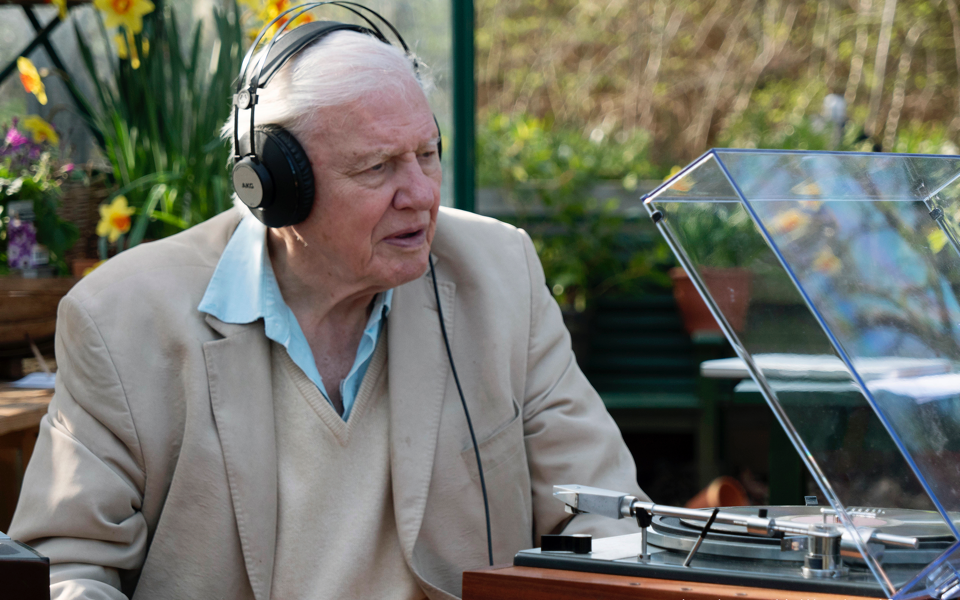 爱登堡的歌声奇迹