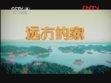 远方的家 《沿海行》第58集 闽浙边城：福鼎《远方的家》20120223