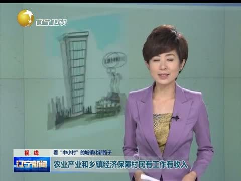 辽宁新闻 《辽宁新闻》 20140721