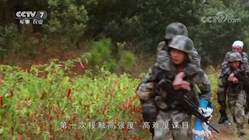 军事纪实 《军事纪实》 20181105 侦察营特训记