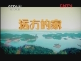 远方的家 《沿海行》第57集 天瑞地安 魅力平阳《远方的家》20120222