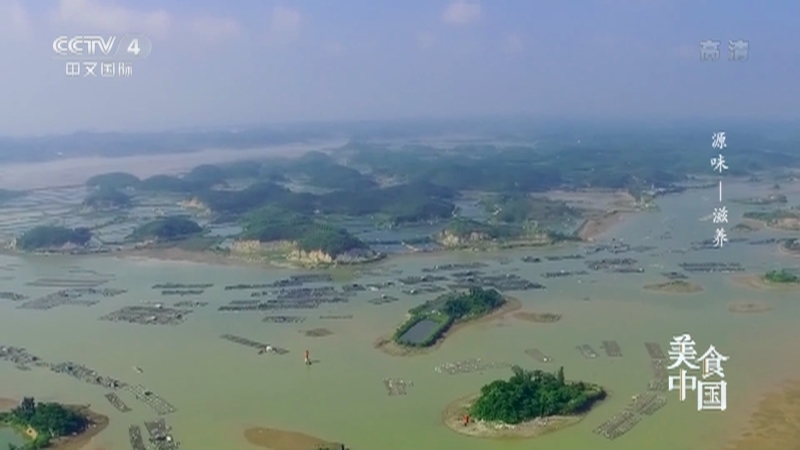 美食中国 《美食中国》 20221021 源味——滋养