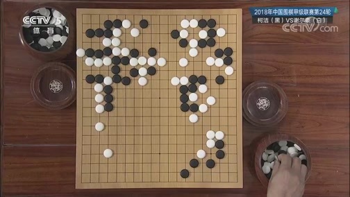 棋牌乐 [棋牌乐]20190123 围甲联赛：柯洁VS谢尔豪