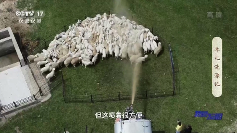 《我爱发明》 20210723 羊儿洗澡记