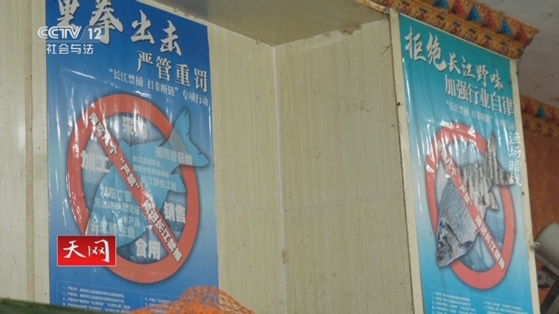 天网 《天网》 20250814 渔场暗战