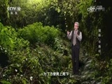 地理中国 《地理中国》 20170813 探秘“牛角村”