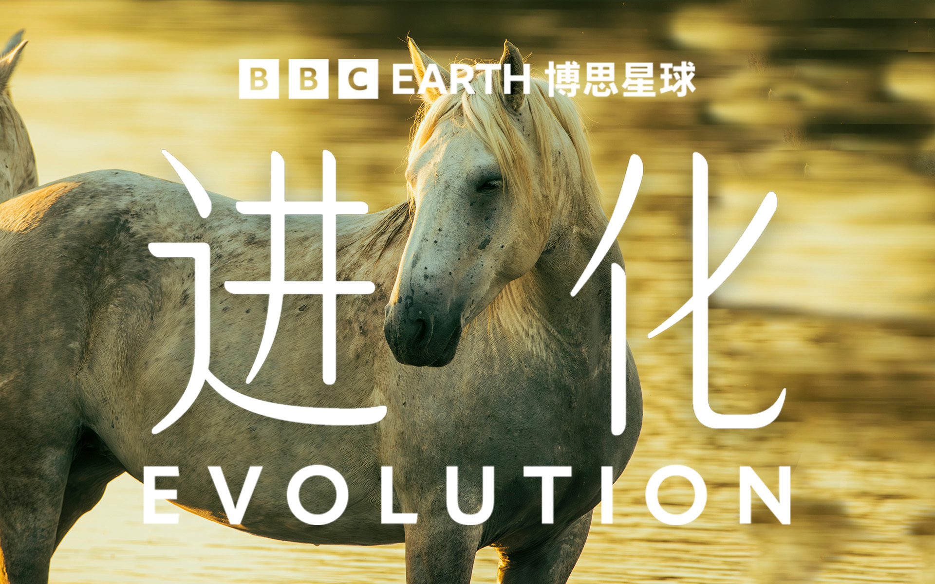速度如何炼成