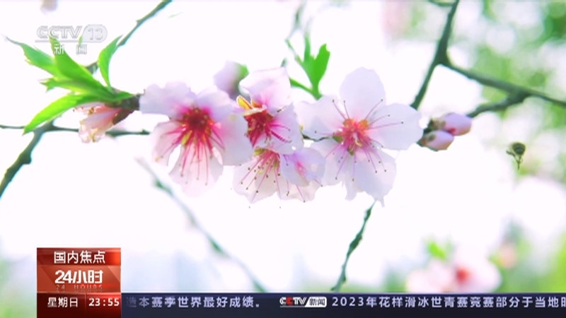 24小时 《24小时》 20230305
