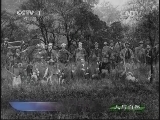 人与自然 《人与自然》 20131125 自然故事：手足情深 狮王传奇 （上）