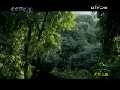 见证 西南传说 上