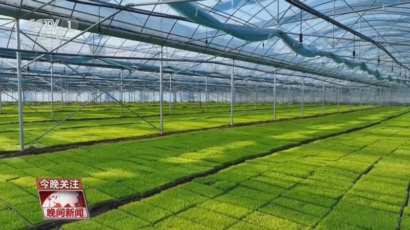 《晚间新闻》 20260407