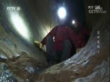 地理中国 《地理中国》 20171112 天坑奇观·汉中天坑（5）