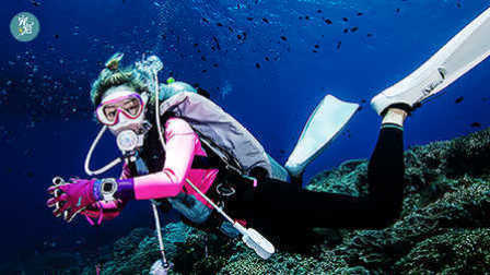 进来看看 能让你上瘾和中毒的