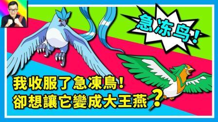 酷爱精灵宝可梦 第一季 我收服了急冻鸟  为什么却希望它是一只大王燕