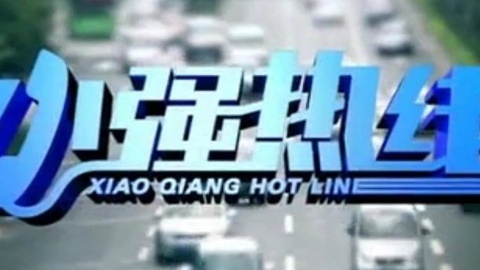 小强热线 小强热线20141226