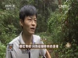 致富经 《致富经》 20150901 屡出奇招 只为征服带刺的豪猪