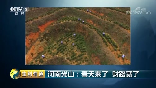 生财有道 《生财有道》 20190423 咱们家乡春天美 河南光山：春天来了 财路宽了