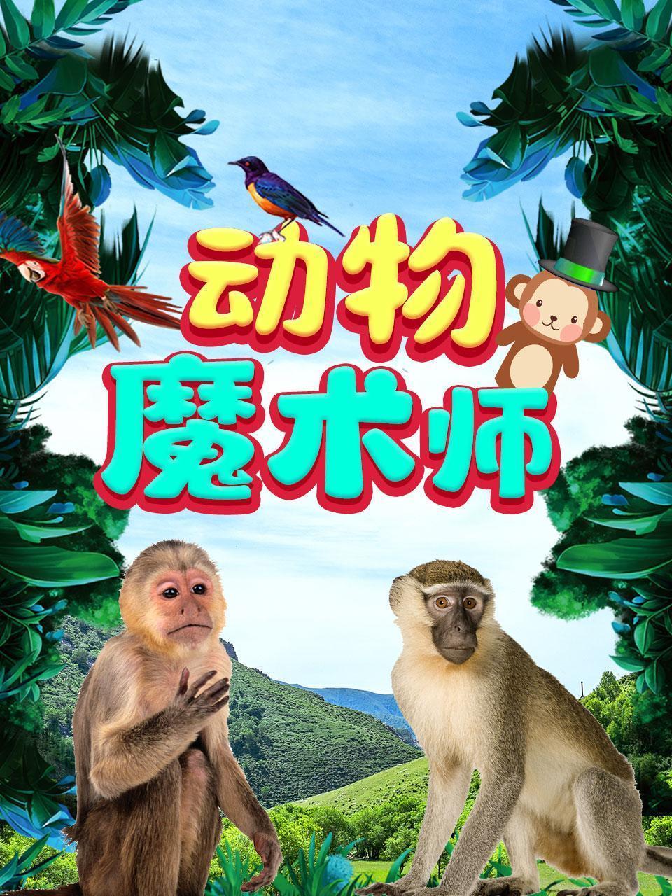 动物“魔术师”