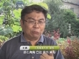 走近科学 《走近科学》 20141027 螃蟹教授