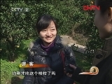 生财有道 《生财有道》 20111215 湖南泸溪：好椪柑 妙文章