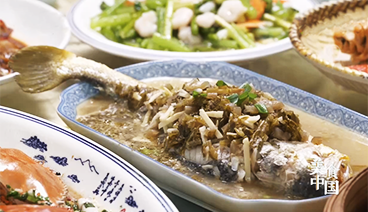 《美食中国》 20210409 系列片《品味宁波》之与鱼为伴