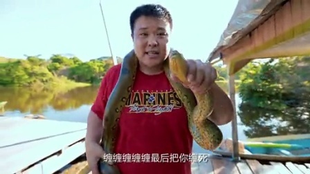 侣行 第二季 挑战食人鱼(上)·亚马逊